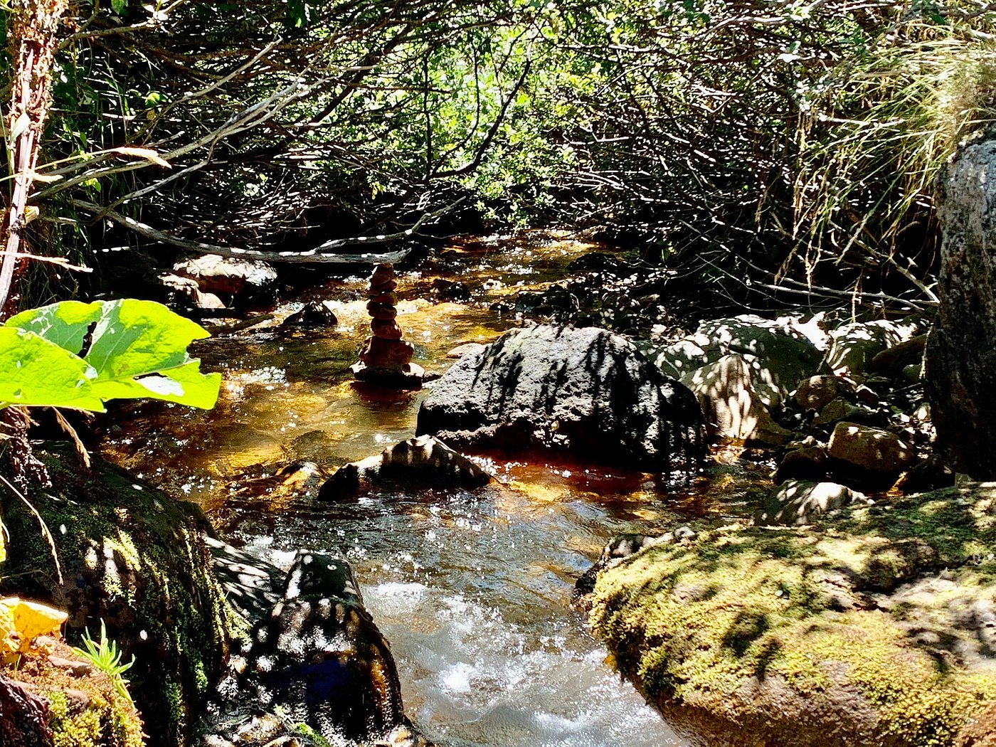 La Fontaine Salée